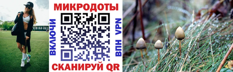 Галлюциногенные грибы Cubensis  хочу наркоту  Пятигорск 