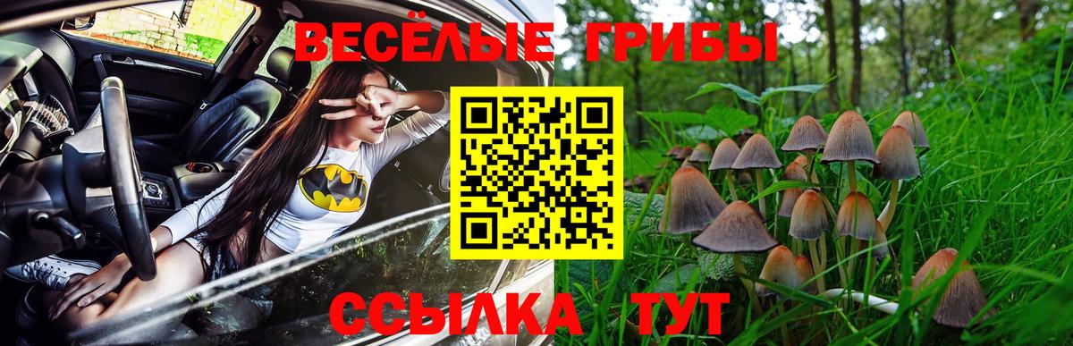 Пятигорск  Галлюциногенные грибы GOLDEN TEACHER  Галлюциногенные грибы MAGIC MUSHROOMS  купить наркотик  Вход с VPN 