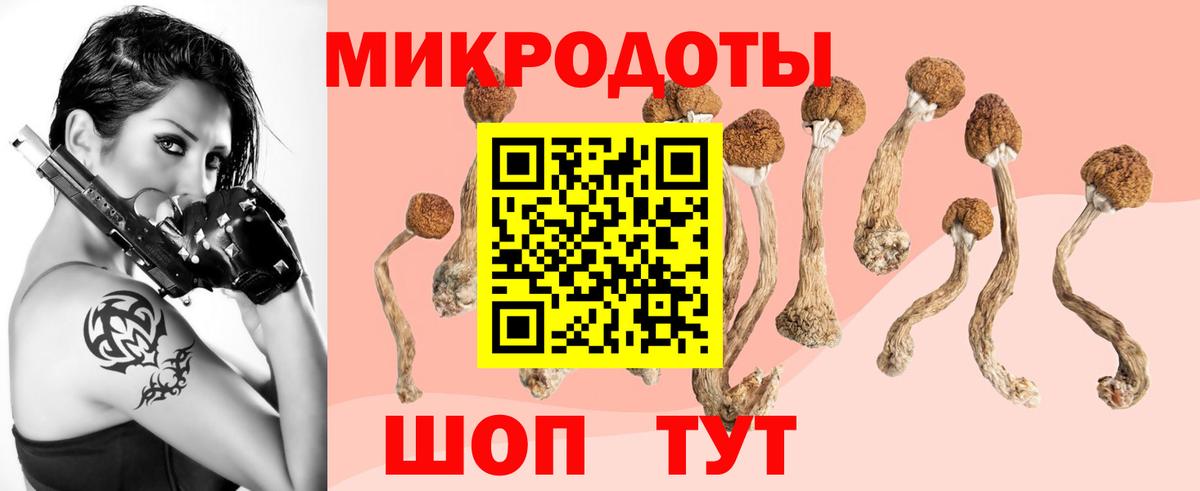 Псилоцибиновые грибы MAGIC MUSHROOMS Пятигорск